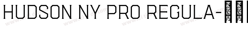 Hudson NY Pro Regula字体转换